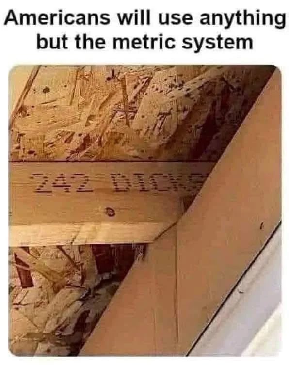 Майя Мелиан tweet media