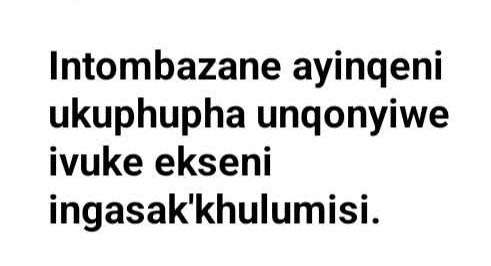 🇿🇦 Londiwe Cebekhulu 🇿🇦 tweet media
