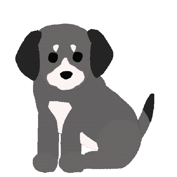 애쉬가자른공상수들 tweet media