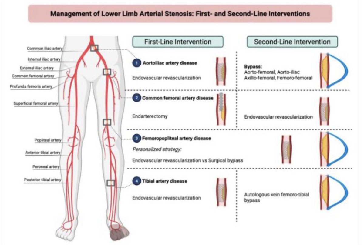 Abbas Mohammadi tweet media