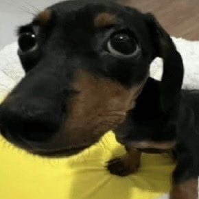 fismat girl 🥀 | analisando o fourier tweet media