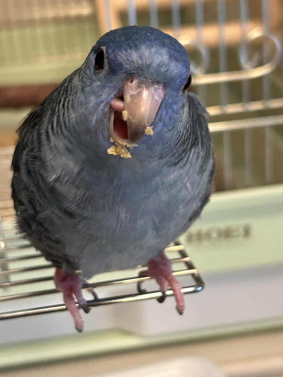 丸ちゃん tweet media