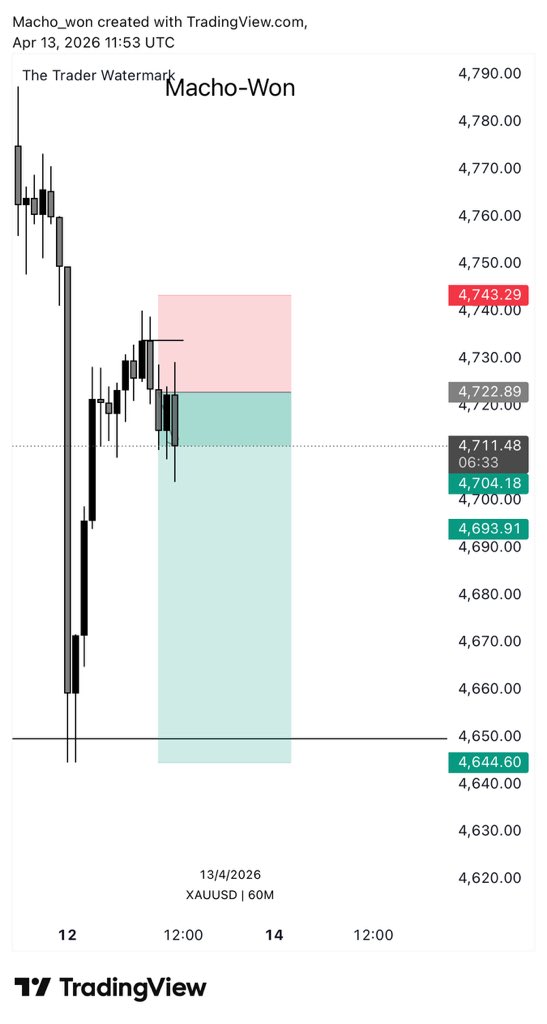 Macho_Won ₰ tweet media