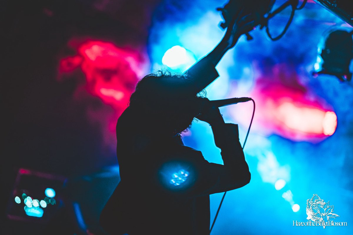 𝐚𝐭𝐬𝐮𝐤𝐢 / Haze of the Bullet Blossom tweet media