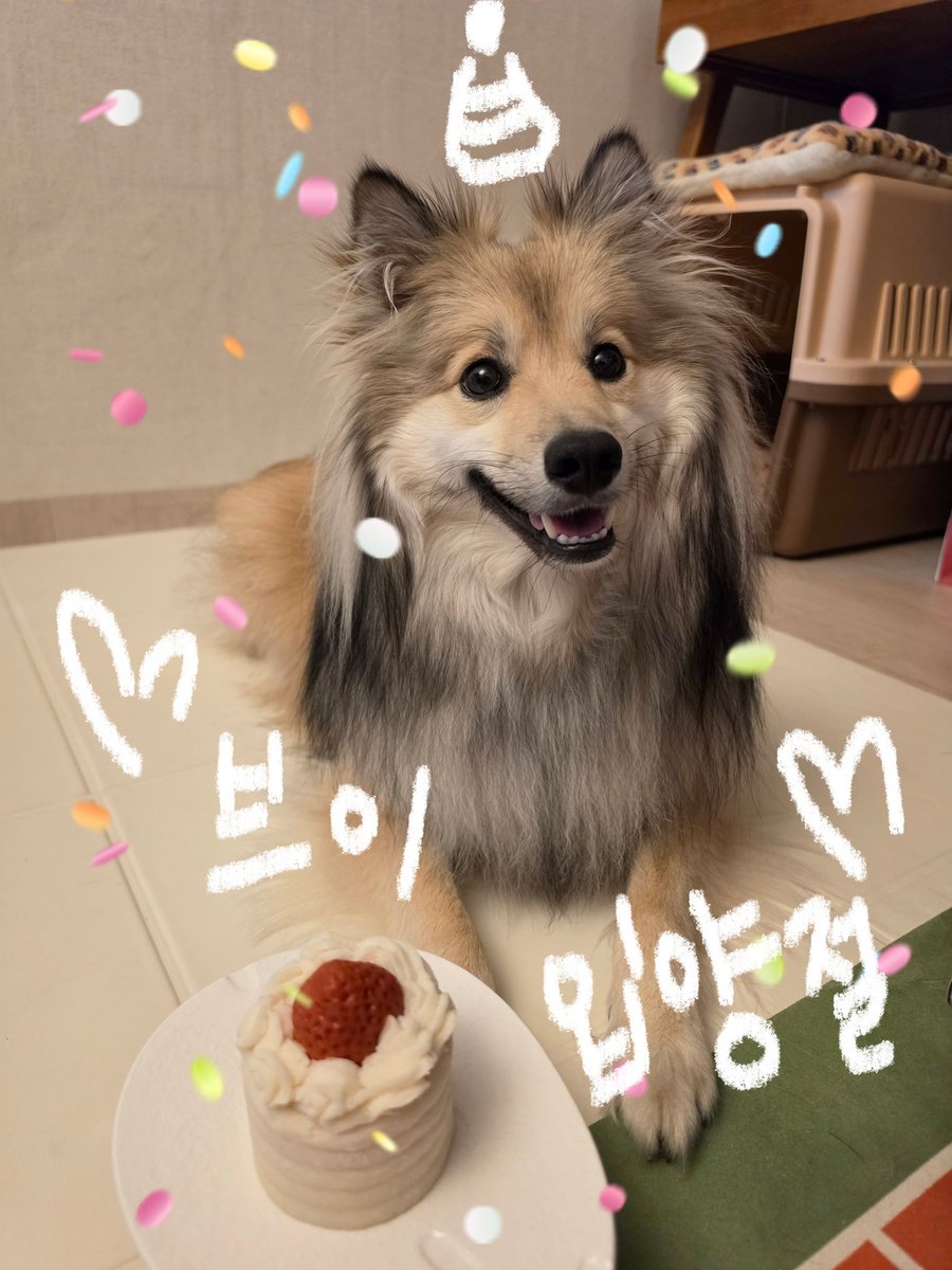 짱브이 tweet media