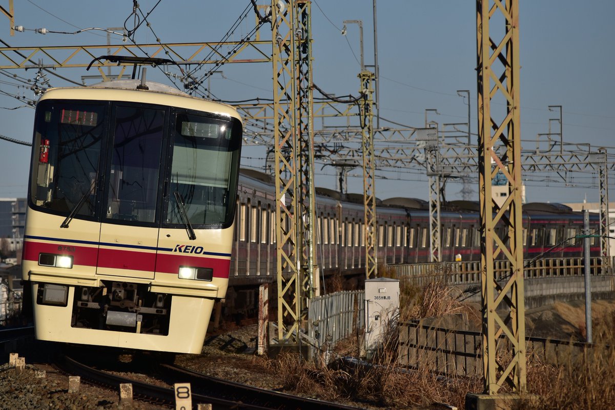 腐っても豆腐 tweet media