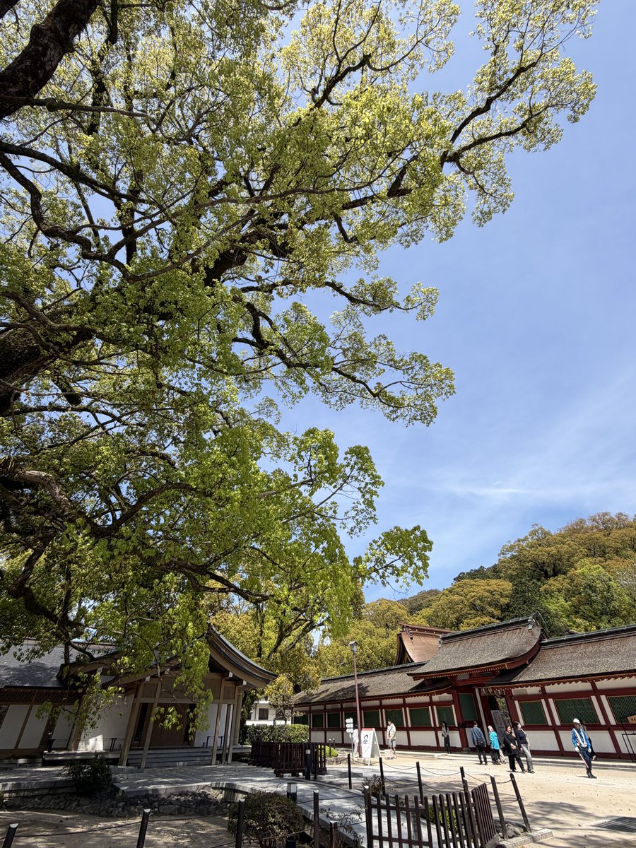 N 5/15-17✈️BKK🇹🇭 tweet media