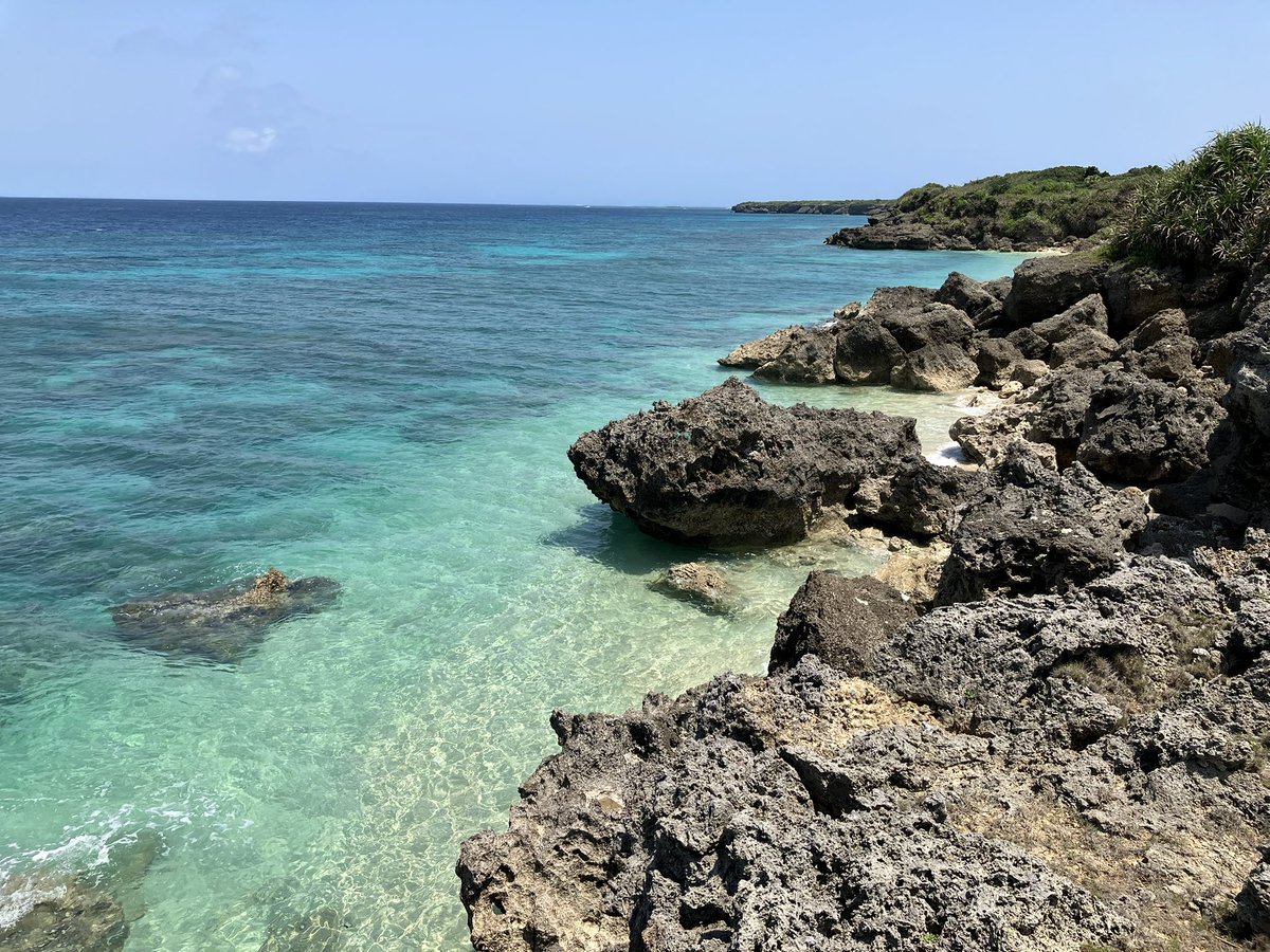 lananas_128's tweet photo. 海には入れませんが、それはそうと鼻が焼けて赤いです。 https://t.co/oDv9uPW4Hz