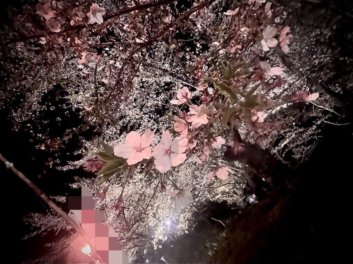 白亜らるらイキリ散らかし酒飲み童子系Vtuber…!?🧠 tweet media