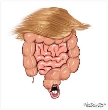 Orson wolf tweet media