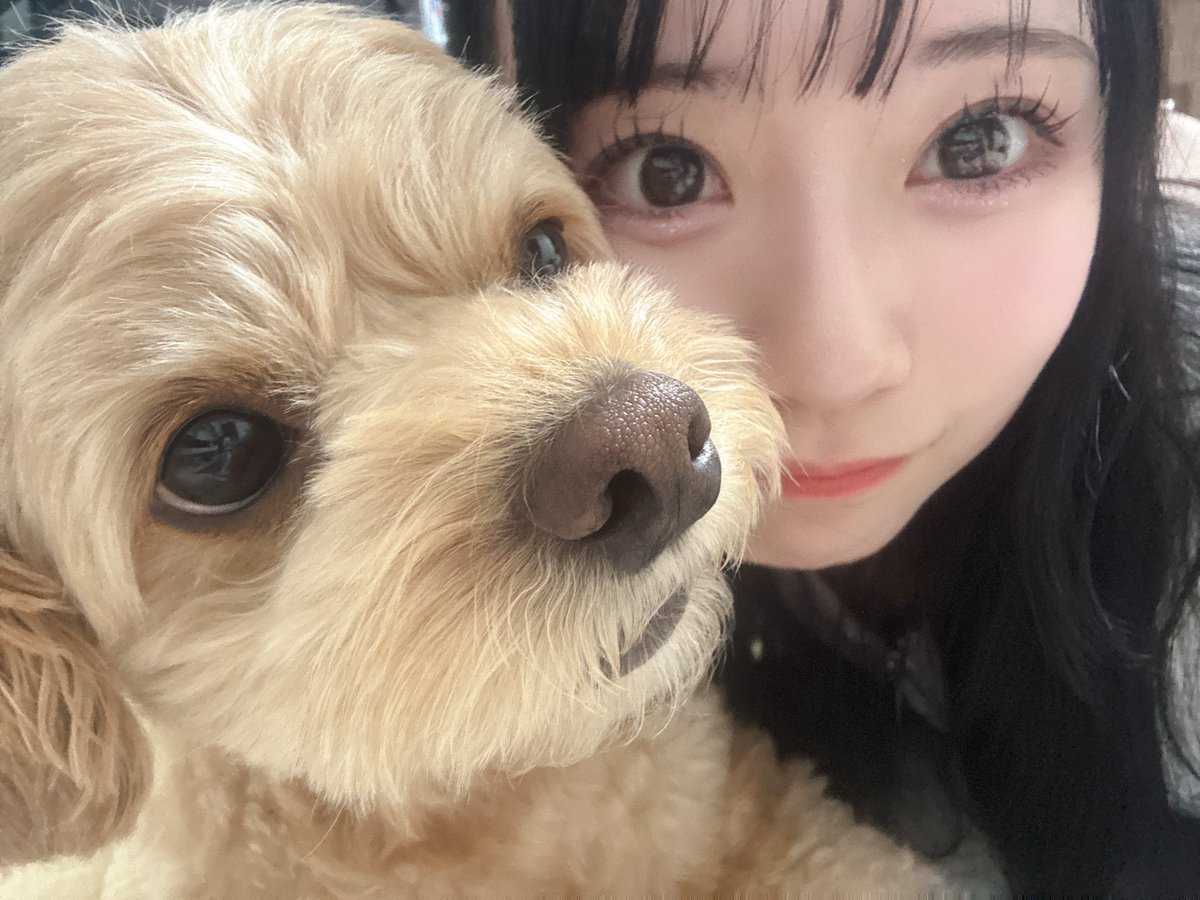 桃月莉妃 【ラルムストーン】 tweet media