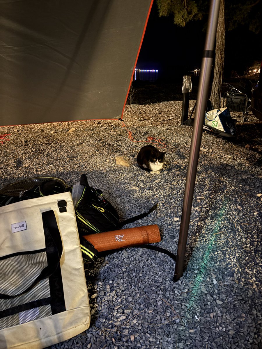 조우람 🍑 tweet media