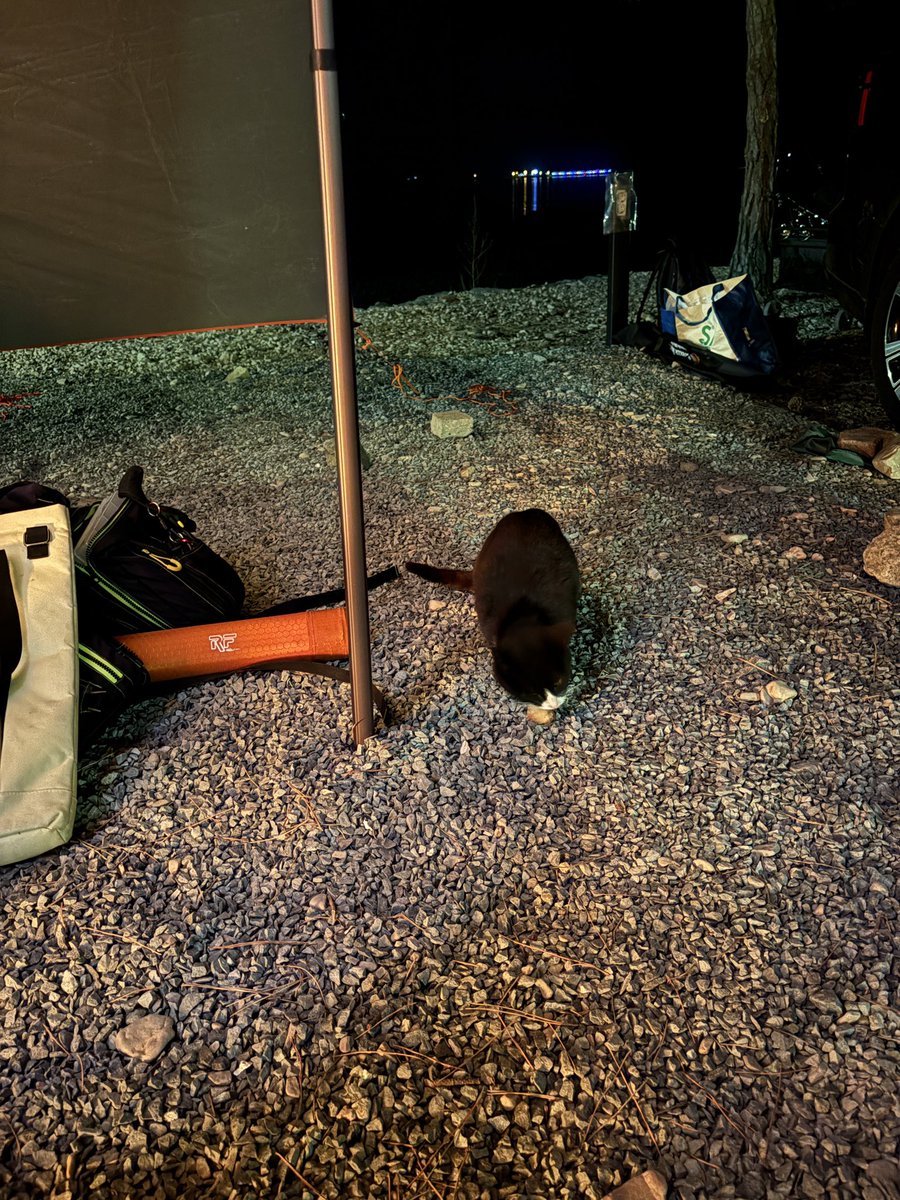 조우람 🍑 tweet media