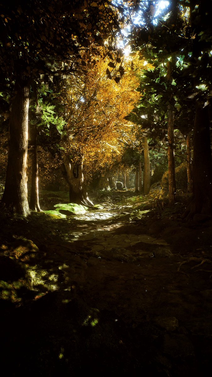 GrayFoxVP tweet media