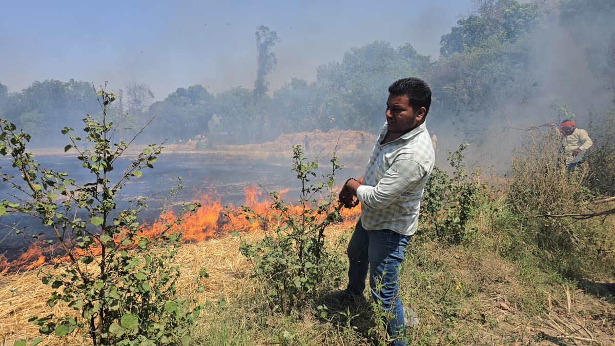 bstvlive's tweet image. आजमगढ़: लोहरा-तेजापुर सिवान में गेहूं के खेत जले

➡5 बीघा गेहूं की कटी फसल जली 
➡ग्रामीणों ने बमुश्किल आग बुझाई 
➡दमकल और पुलिस देर से पहुंची, नाराजगी 
➡जिले के अतरौलिया थाना क्षेत्र का मामला 

#Azamgarh #Fire #WheatCrop @azamgarhpolice