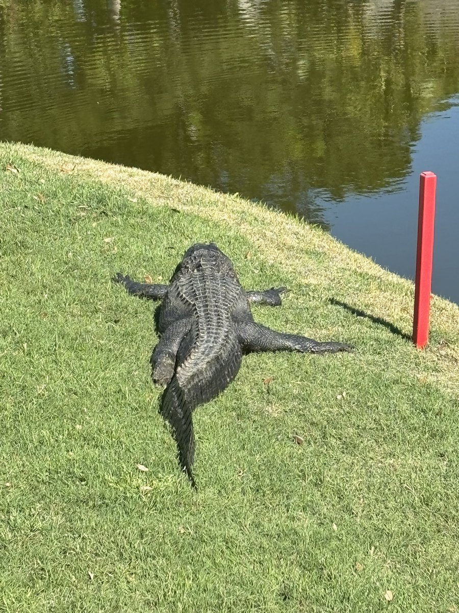 RevWSJohnson's tweet image. 36 at River and Ocean on masters Sunday with @MJDoak01 (because rich)