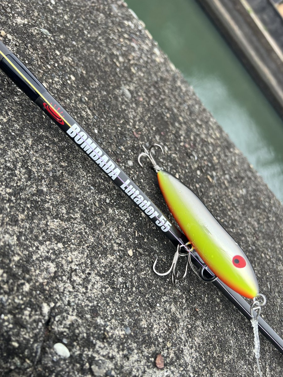 どうしても投げたくて浦戸湾へ‼️

お魚はお留守でしたけどマグナムめちゃくちゃ楽しかったです☺︎

#マグナムアマゾンスプーク
#アマゾンクロームII
#ルタドール55
#lutador55
#グラップラー301
#ボンバダ