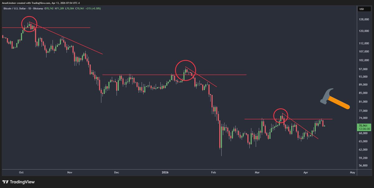 Ansel Lindner tweet media