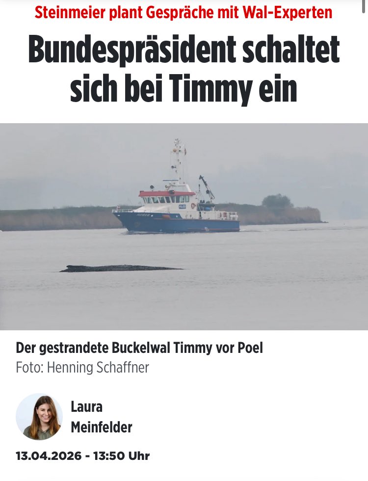 Falls der Bundespräsident danach noch Luft hat: Am Ostendplatz sind gerade zwei Tauben beim Landen gestolpert und haben dabei einen Sack Reis umgeworfen, den sie anschließend nicht wieder aufgestellt haben. Mit denen müsste man vielleicht auch mal ein ernstes Wörtchen reden.