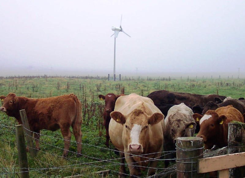 scotruralnet's tweet image. 🌻💛 Celebrate the people who make rural &amp;amp; island Scotland stronger. Nominate your Rural Champion today and help share their story 👇
🔗 ow.ly/yCuf50YI8AC
#Rural #Island #Communities #ChampionAward