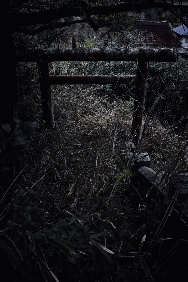 しどろ tweet media