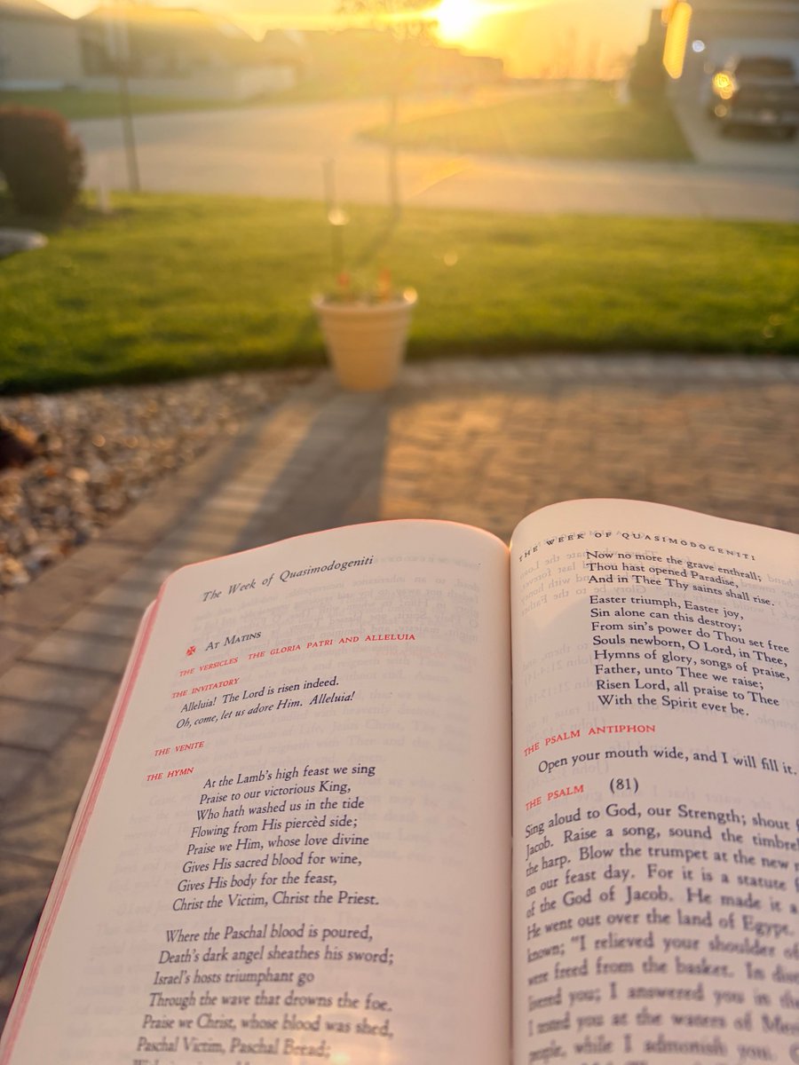 William Weedon tweet media