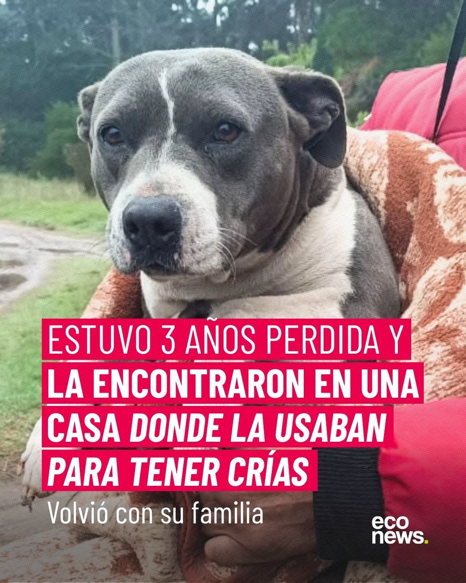 EcoNews en español tweet media