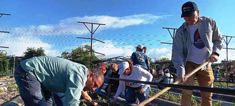 Periódico Trabajadores tweet media