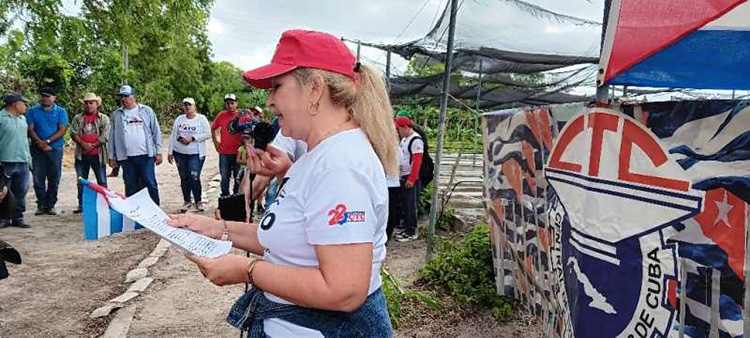 Periódico Trabajadores tweet media