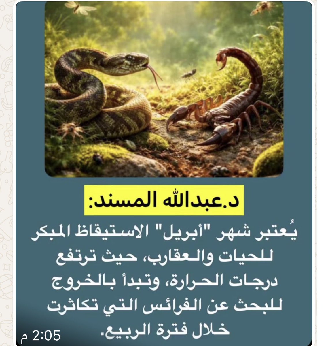 nmaa_1's tweet photo. https://t.co/VfIHti8KzQ