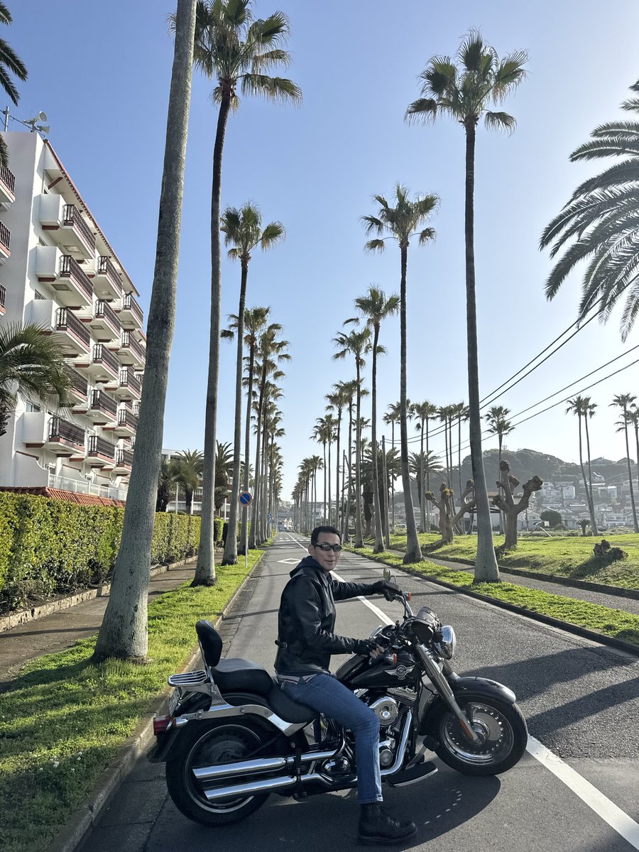 OK@FP1級・中小企業診断士(登録手続中) tweet media