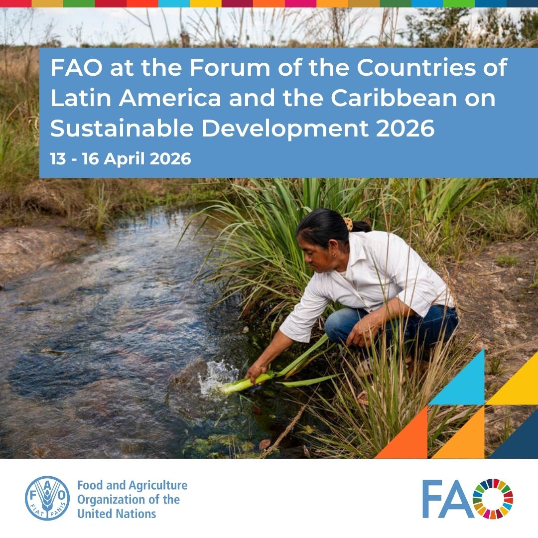 FAO and the SDGs tweet media