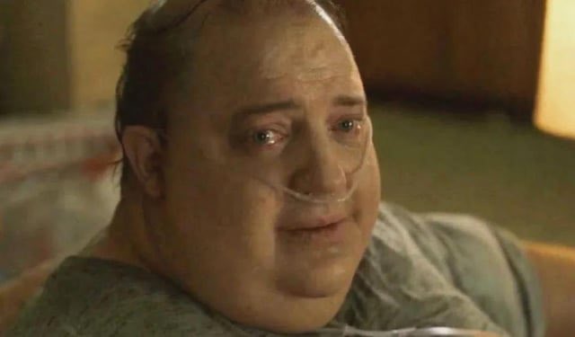 Drew Pavlou 🇦🇺🇺🇸🇺🇦🇹🇼 tweet media