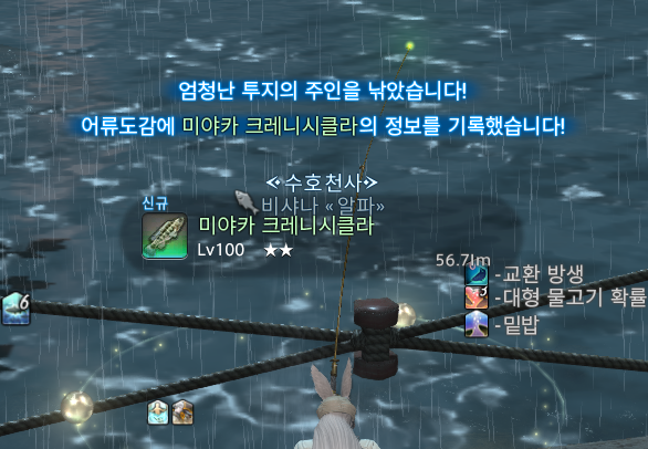 샤나(밀쨈이..) tweet media