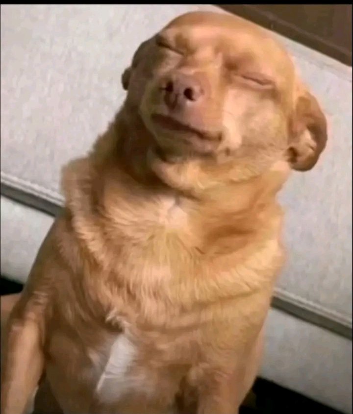 ايموند التاريخ tweet media