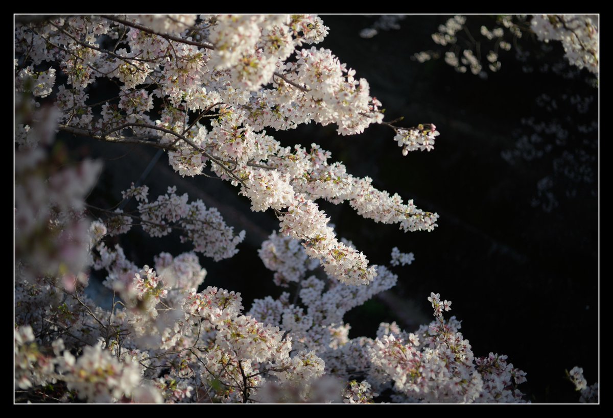 伊崎 (@utk_q) on Twitter photo 