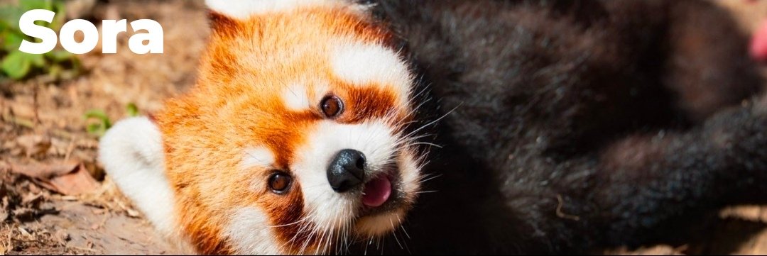 KINGMAX 🇺🇸 tweet media