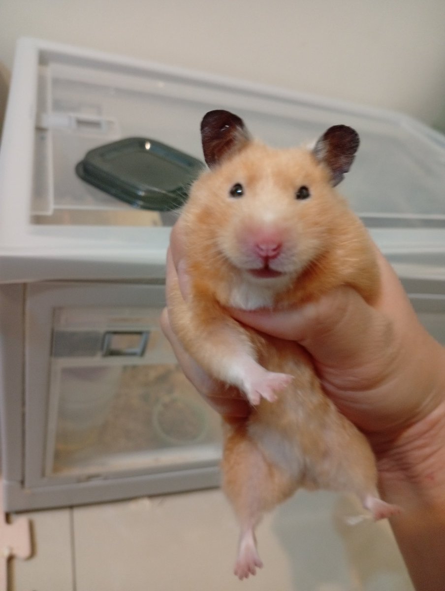 Ann(E) 麗 tweet media