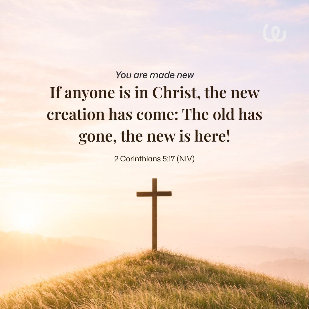 thywordapp's tweet photo. No matter your past, in Christ you are a new creation. The old is gone, and a new life begins today.

“If anyone is in Christ, the new creation has come…” — 2 Corinthians 5:17(NIV)

#ThyWord #NewBeginning #Faith #BibleVerse https://t.co/RLVkaEfuut