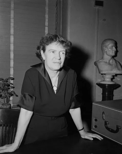 Manuela Caparrós tweet media