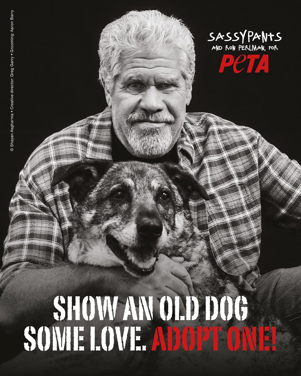 peta's tweet image. Wishing our friend and longtime animal advocate @perlmutations the happiest of birthdays! Today, we honor Ron’s heart and his commitment to speaking up for animals, including senior dogs who are often overlooked. Because giving senior dogs a second chance is always worth