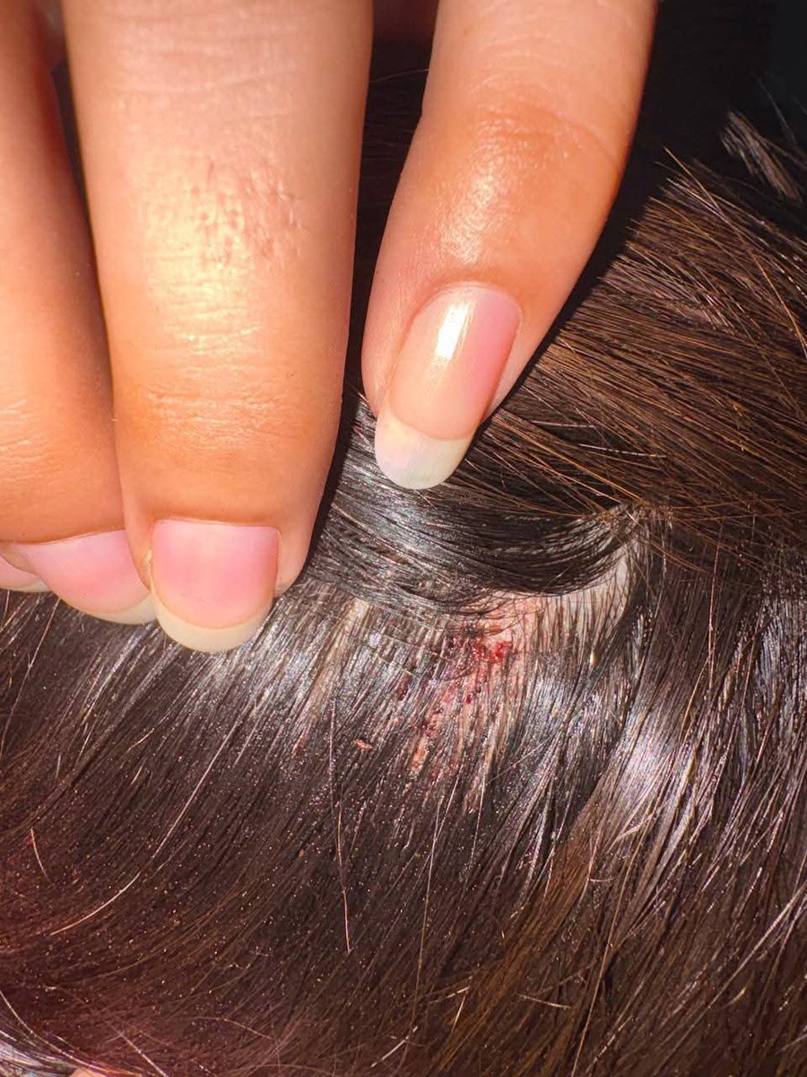 صحرانورد tweet media