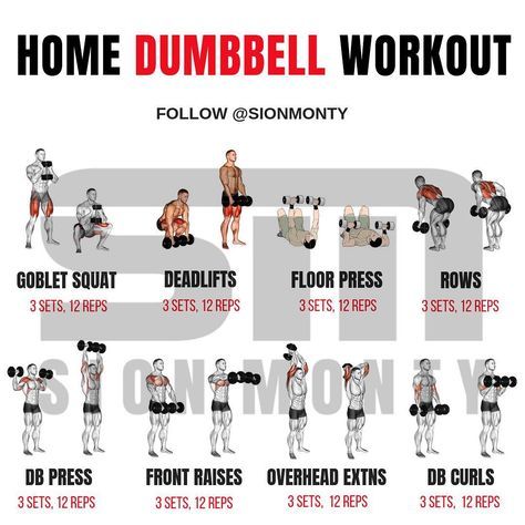 FitnessHacks101's tweet image. Working out at home? You’ve got this! Try these simple dumbbell moves to hit every muscle group. Remember, progress is progress—one rep at a time! Tag a friend to join you and let’s get stronger together! 

#homeworkout #dumbbellworkout #fullbodyworkout #strengthtraining