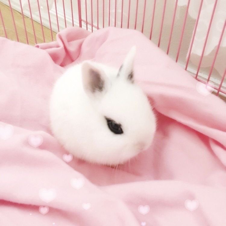 ʚ riri ɞ tweet media