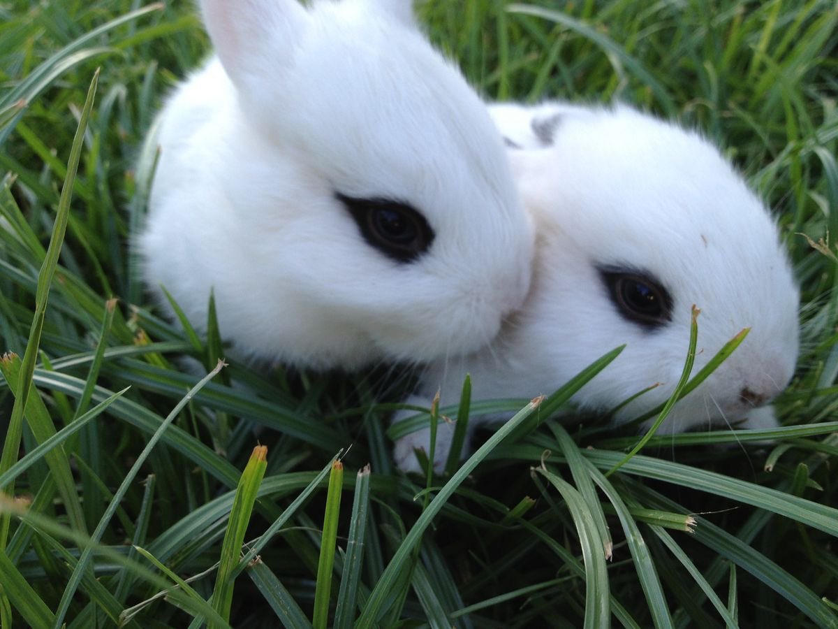 ʚ riri ɞ tweet media