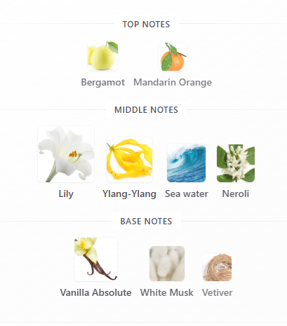 Mordy 🌹 tweet media