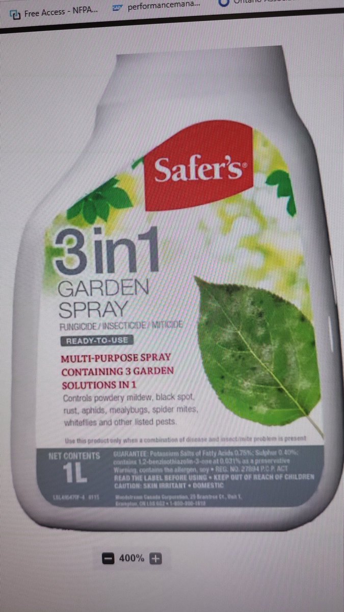 🍁زاها شدید tweet media