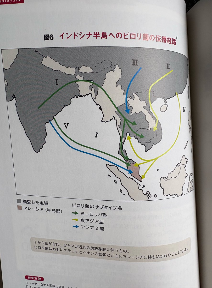 May_Roma めいろま　谷本真由美 tweet media