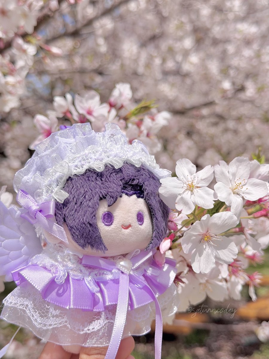 saturncodey's tweet photo. My precious baby angel, Jiang Cheng ~ 
My A-Cheng 🌸💜

#JiangCheng #MDZS #江澄 https://t.co/lvGPggfnsJ