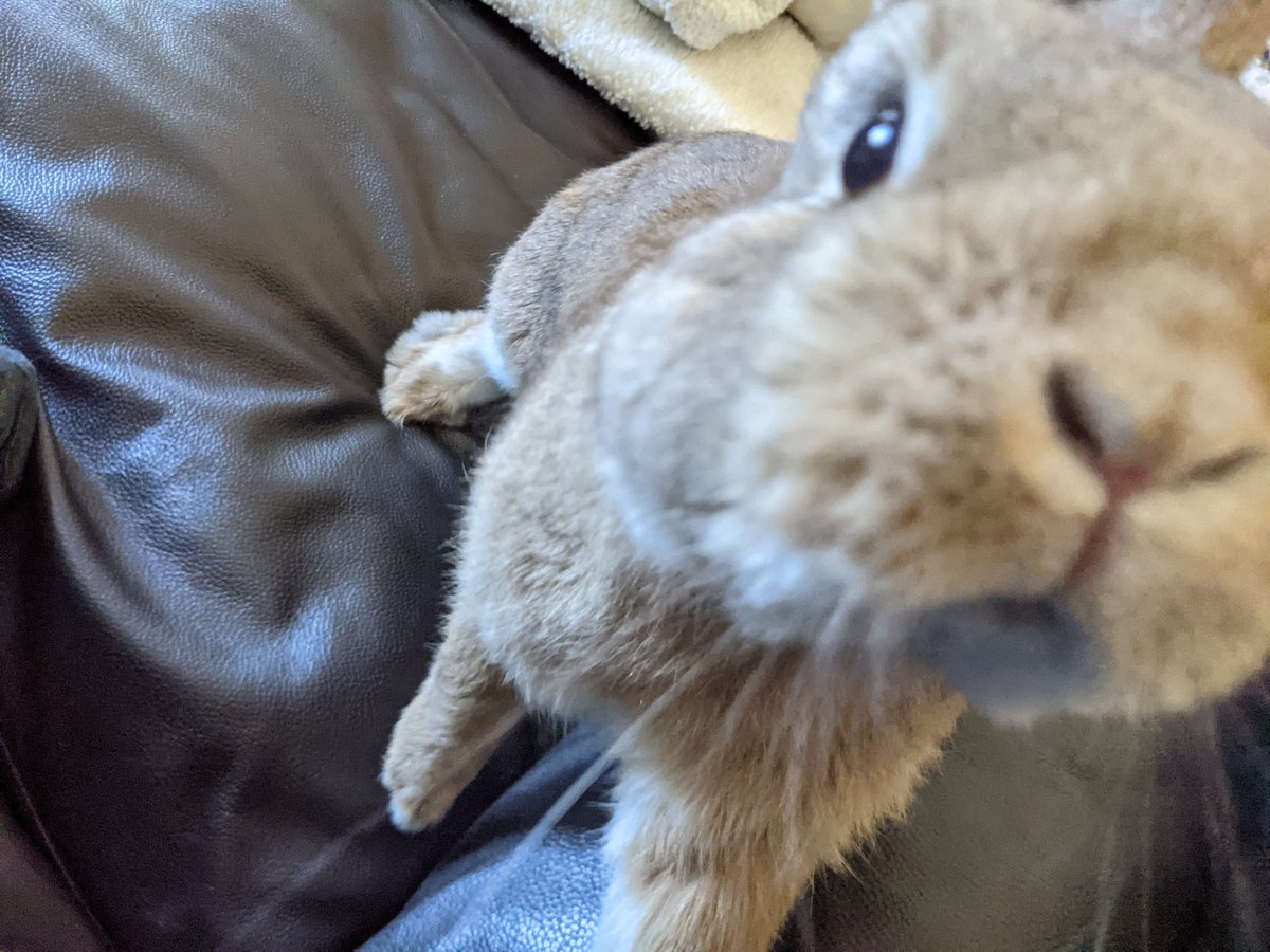 rocky.. 🍁 tweet media